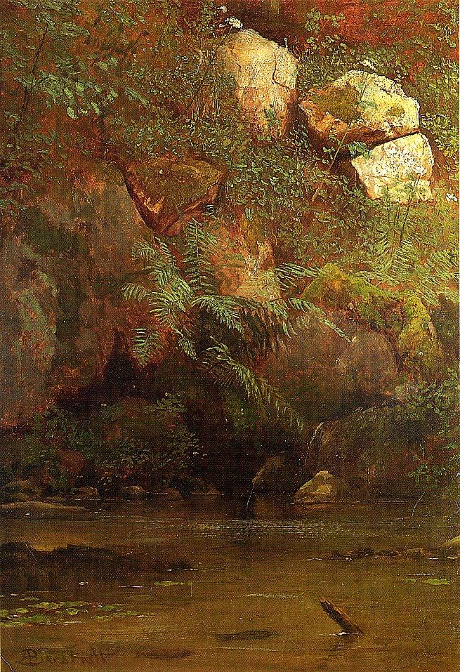 Albert Bierstadt Ferns and Rocks on an Embankment 1869 Fine Art Print