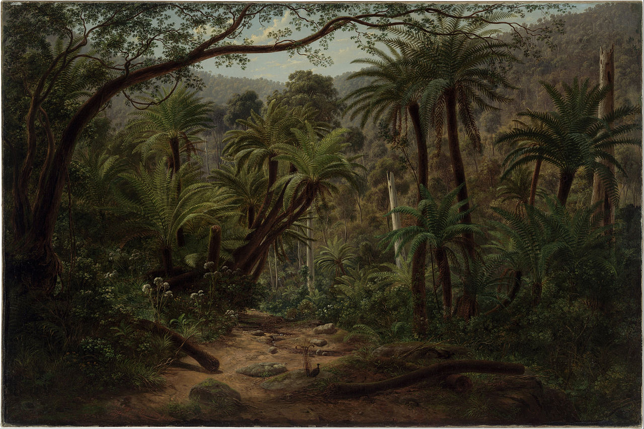 Eugene von Guerard Ferntree Gully in the Dandenong Ranges 1857 Fine Art Print