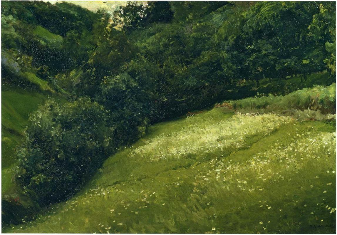 Joaquín Sorolla Field in Asturias 1903 Fine Art Print