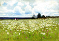 Efim Volkov Field of Daisies 1899 Fine Art Print