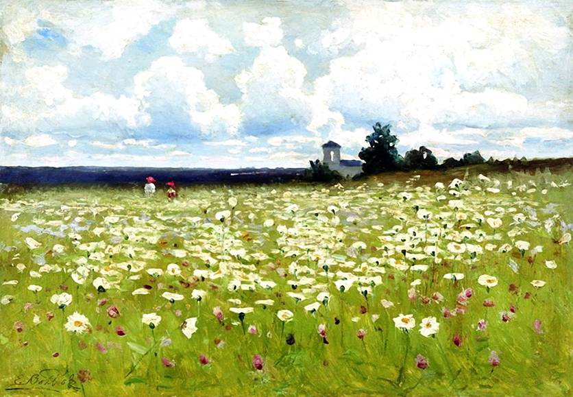 Efim Volkov Field of Daisies 1899 Fine Art Print