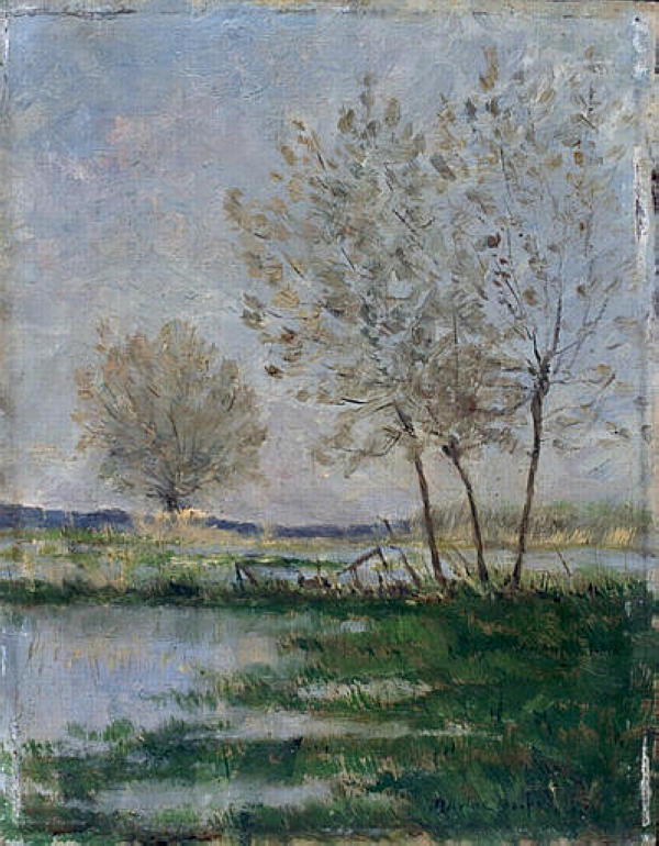 Maxime Maufra Flooded Meadows 1900 Fine Art Print