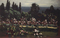 Arkhyp Kuindzhi Flower Garden. Caucasus 1908 Fine Art Print