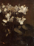 Henri Fantin-Latour Flowers, Cyclamens 1860 Fine Art Print
