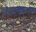 Ferdinand Hodler Forest Brook at Leissingen 1904 Fine Art Print