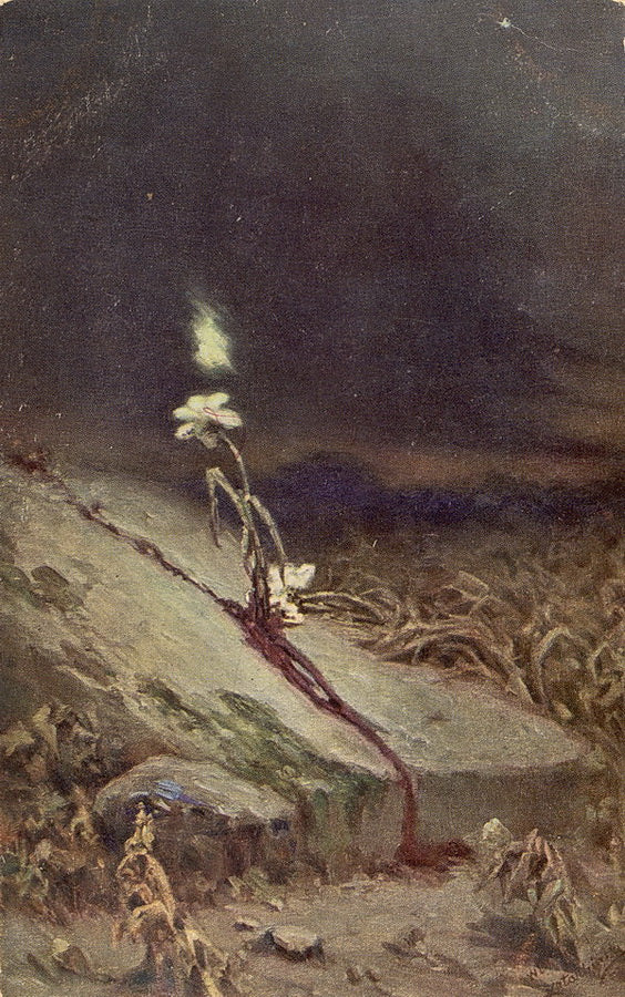 Wilhelm Kotarbinski Grave of a Suicide Victim 1900 Fine Art Print