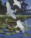 Frank W. Benson Great White Herons 1923 Fine Art Print