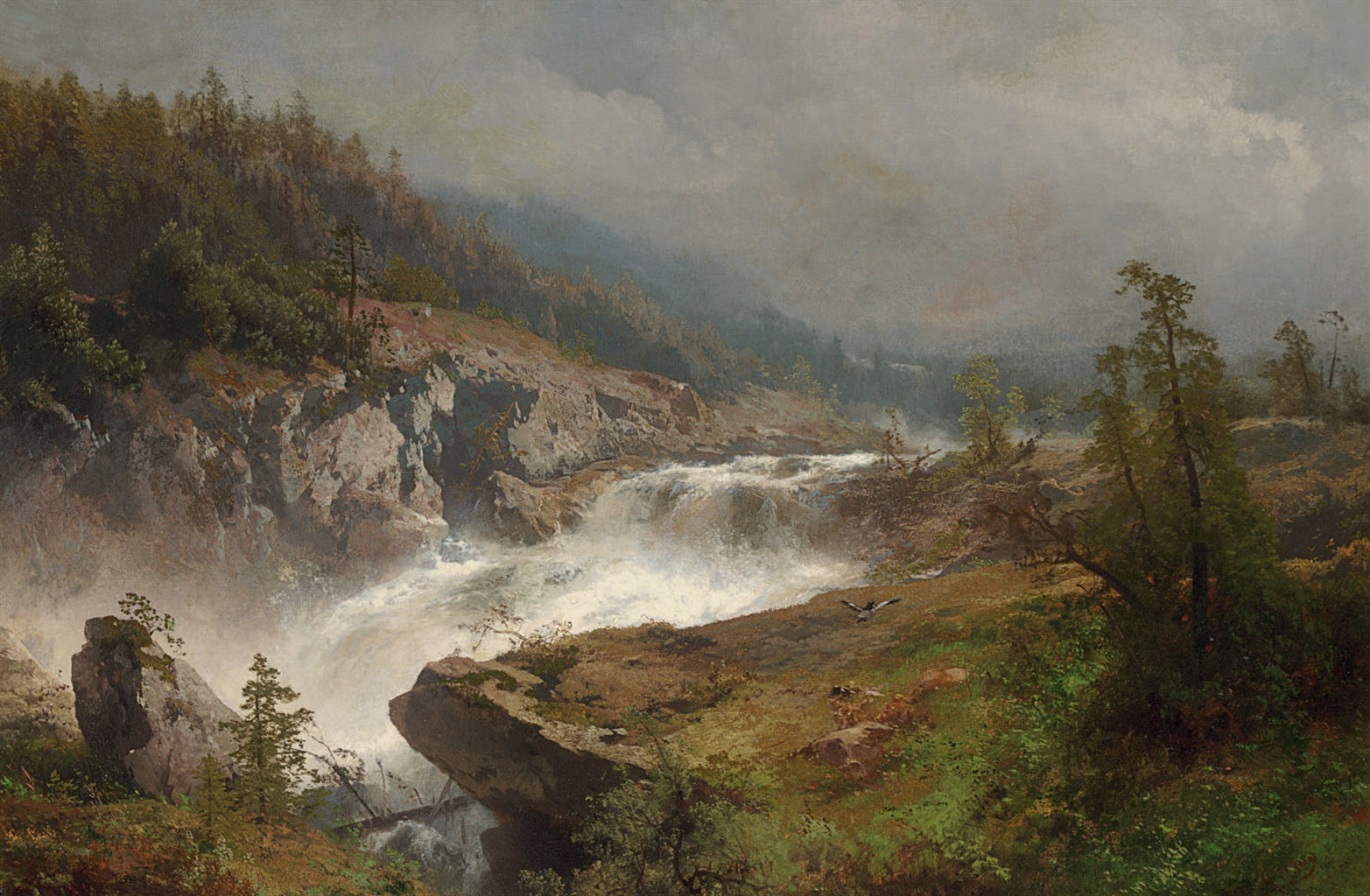 Hermann Ottomar Herzog Raging River 1879 Fine Art Print