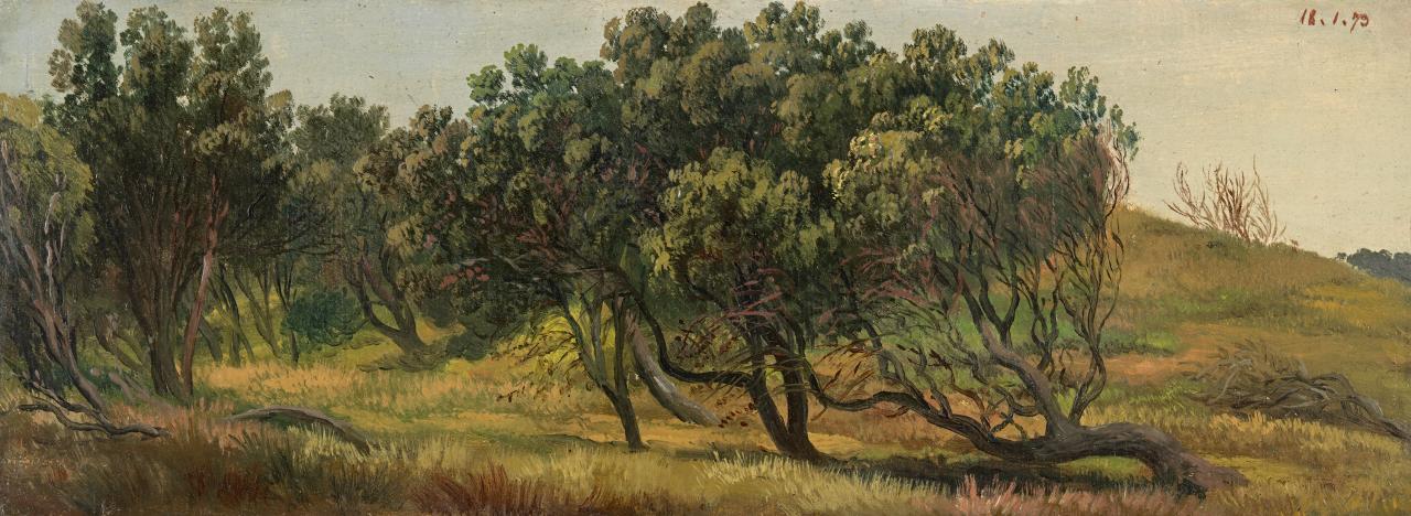 Eugene von Guerard Honeysuckles, Cape Schanck 1873 Fine Art Print