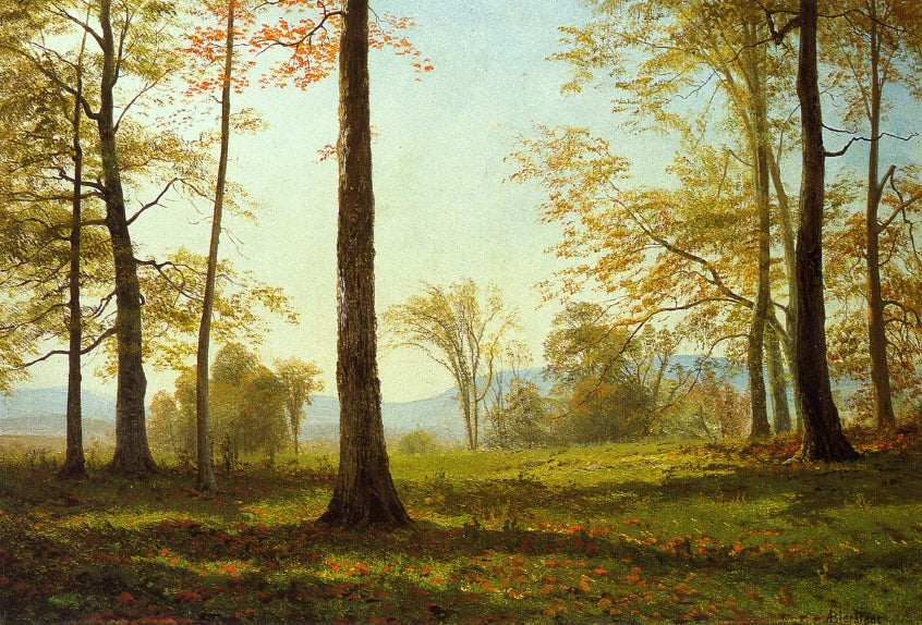 Albert Bierstadt In The Yosemite Valley 1864 Fine Art Print