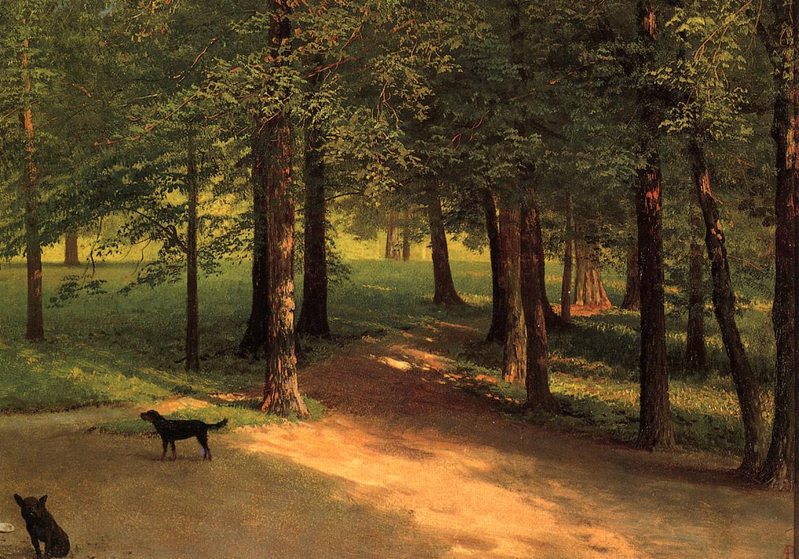 Albert Bierstadt Irvington Woods 1870 Fine Art Print