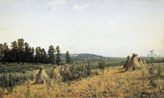 {{ product_title }} Fine Art Print | {{ product_vendor }} Jakero77 Ivan Shishkin Polesie Landscape 1884 Poland Farmland Fine Art Print Art Print  Jakero77