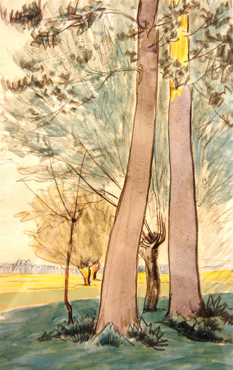 Léo Gausson Les arbres dans la prairie 1893 Fine Art Print