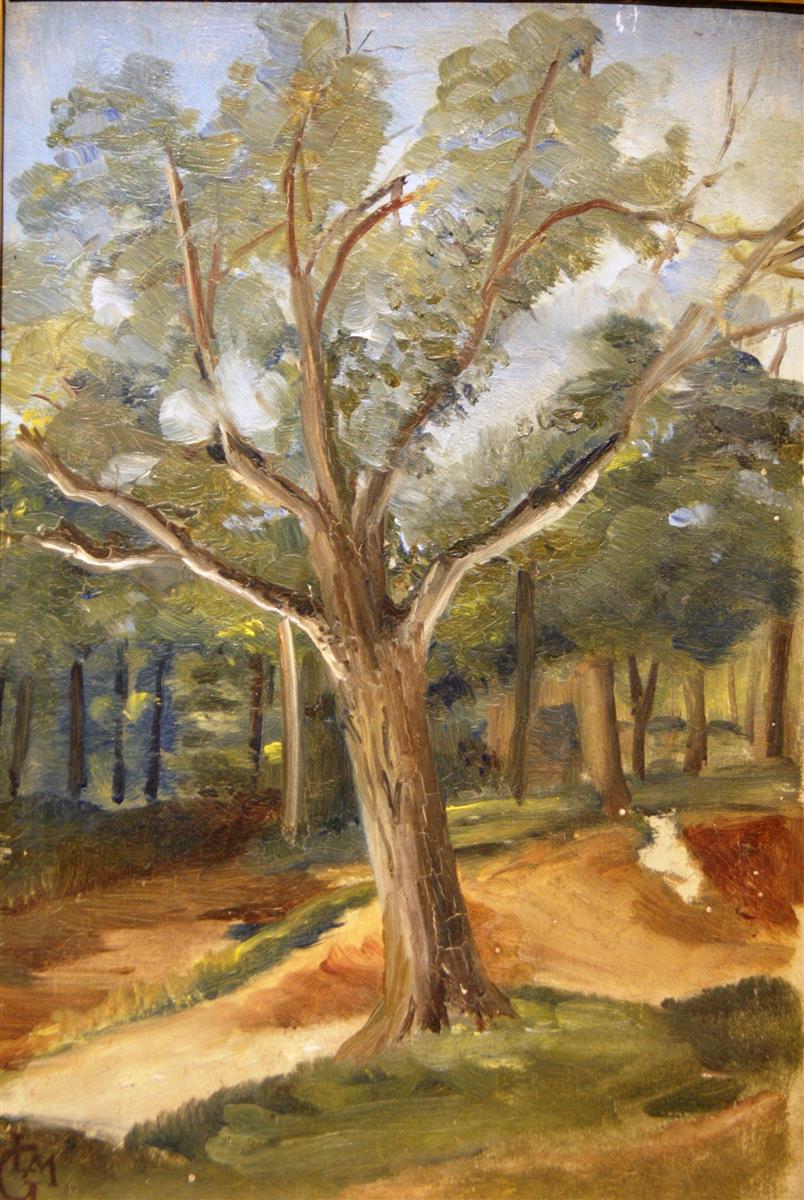 Léo Gausson Les grands arbres dans la clairière 1885 Fine Art Print