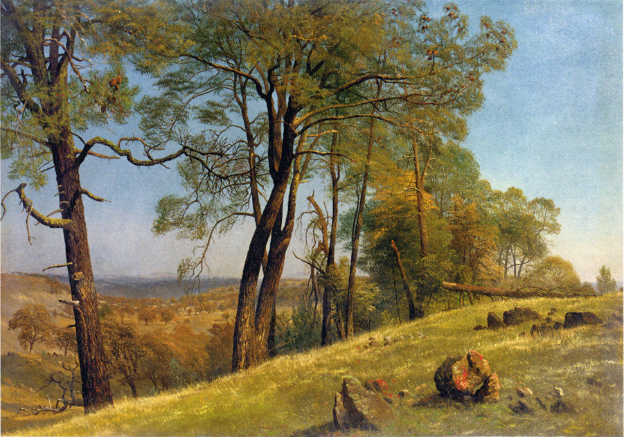 Albert Bierstadt Landscape, Rockland County, California 1872 Fine Art Print
