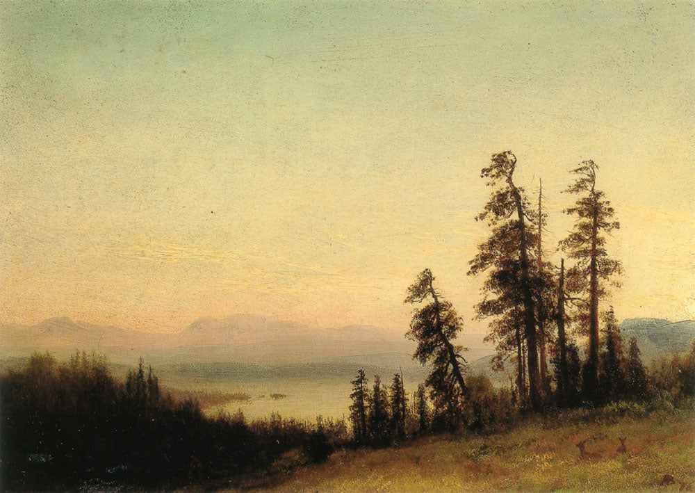 Albert Bierstadt Landscape With Deer 1876 Fine Art Print