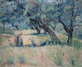 Lucien Pissarro Les Oliviers (Oliveraie Morning) 1930 Fine Art Print