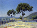 Robert Julian Onderdonk Live Oak Trees on Williams' Ranch, Bandera County 1915 Fine Art Print