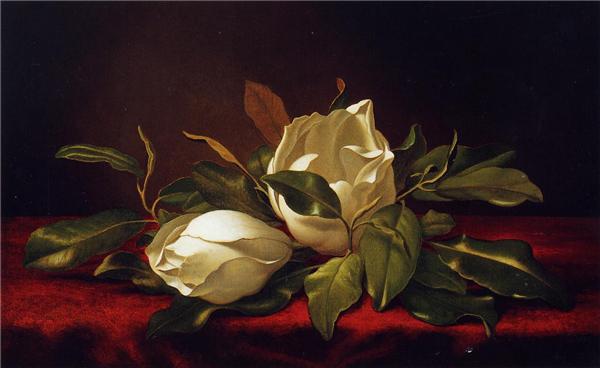 Martin Johnson Heade Magnoliae Grandeflorae 1888 Fine Art Print