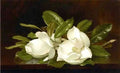 Martin Johnson Heade Magnolias On A Wooden Table 1888 Fine Art Print