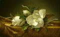 Martin Johnson Heade Magnolias on Gold Velvet Cloth 1890 Fine Art Print