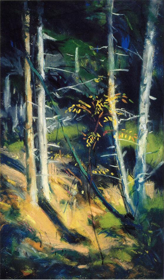 Robert Henri Maine Landscape 1919 Fine Art Print