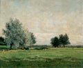 Maxime Maufra Meadow 1888 Fine Art Print