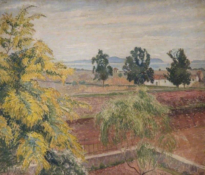 Lucien Pissarro Mimosa, Lavandou 1923 Fine Art Print