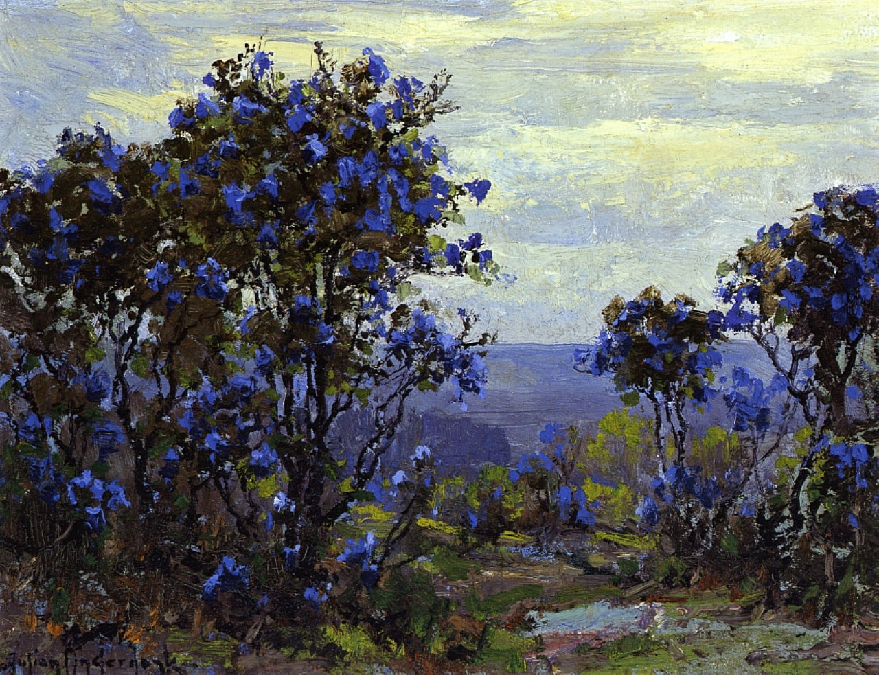Robert Julian Onderdonk Mountain Laurel in Bloom 1915 Fine Art Print
