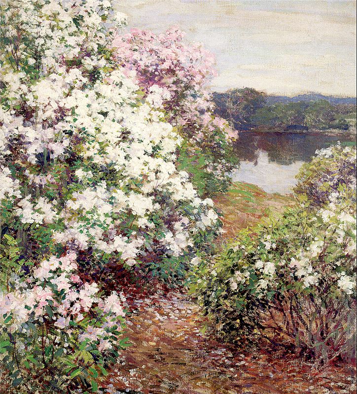 Willard Metcalf Mountain Laurel 1905 Fine Art Print