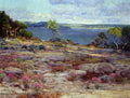 Robert Julian Onderdonk Mountain Pinks in Bloom, Medina Lake, Southwest Texas 1921 Fine Art Print