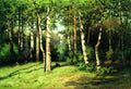 Efim Volkov Noon in the Woods 1888 Fine Art Print