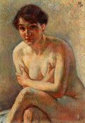 Theo van Rysselberghe Nude Woman 1916 Fine Art Print