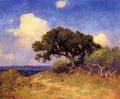 Robert Julian Onderdonk Old Live Oak 1910 Fine Art Print