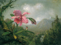 Martin Johnson Heade Orchid and Hummingbird near a Mountain Waterfall 1902 Fine Art Print