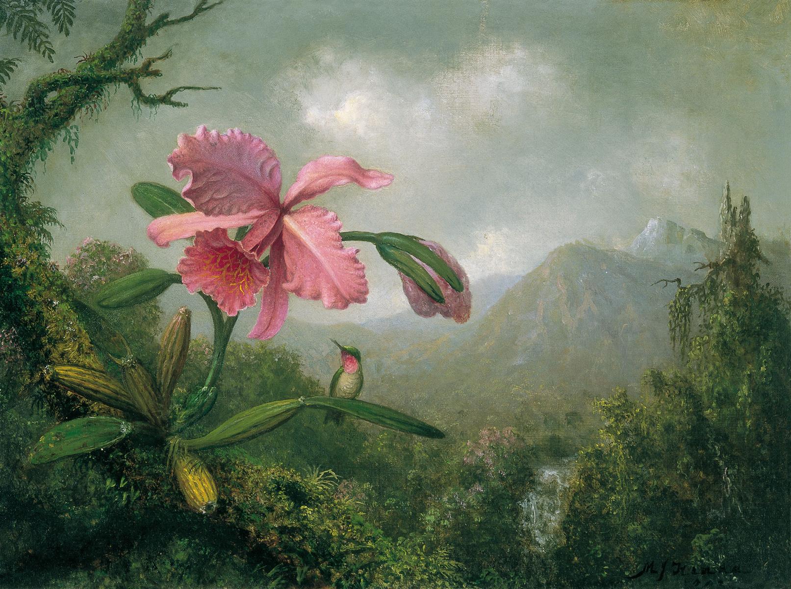 Martin Johnson Heade Orchid and Hummingbird near a Mountain Waterfall 1902 Fine Art Print