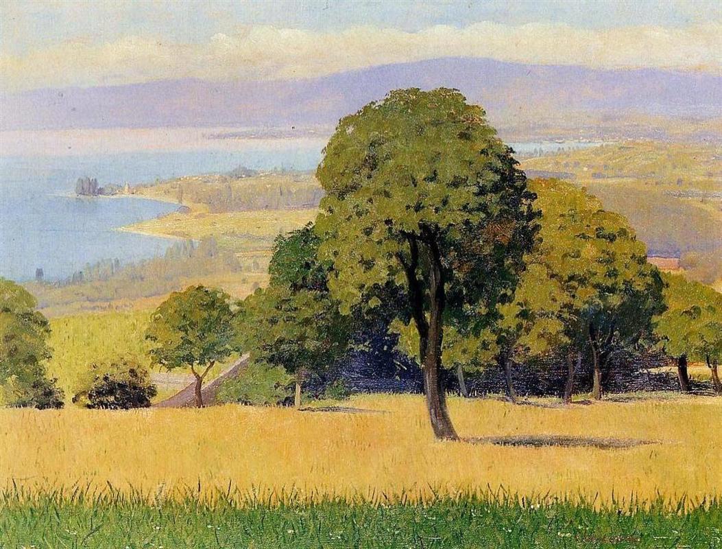 Felix Vallotton Outskirts of Lausanne 1893 Fine Art Print