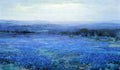 Robert Julian Onderdonk Panoramic Landscape 1905 Fine Art Print