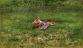 Pasquale Celommi Riposo Nei Campi 1899 Fine Art Print
