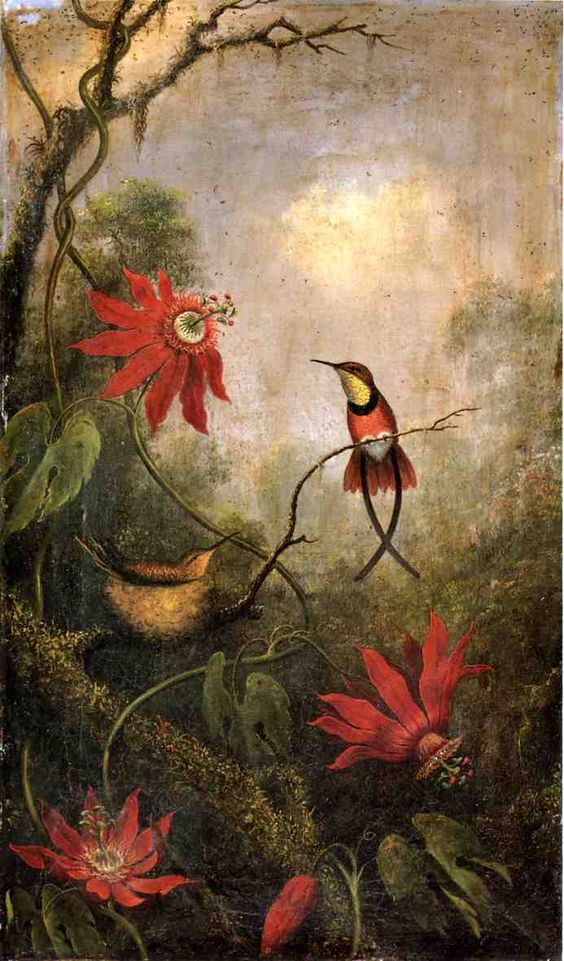 Martin Johnson Heade Passion Flowers And Hummingbirds 1883 Fine Art Print