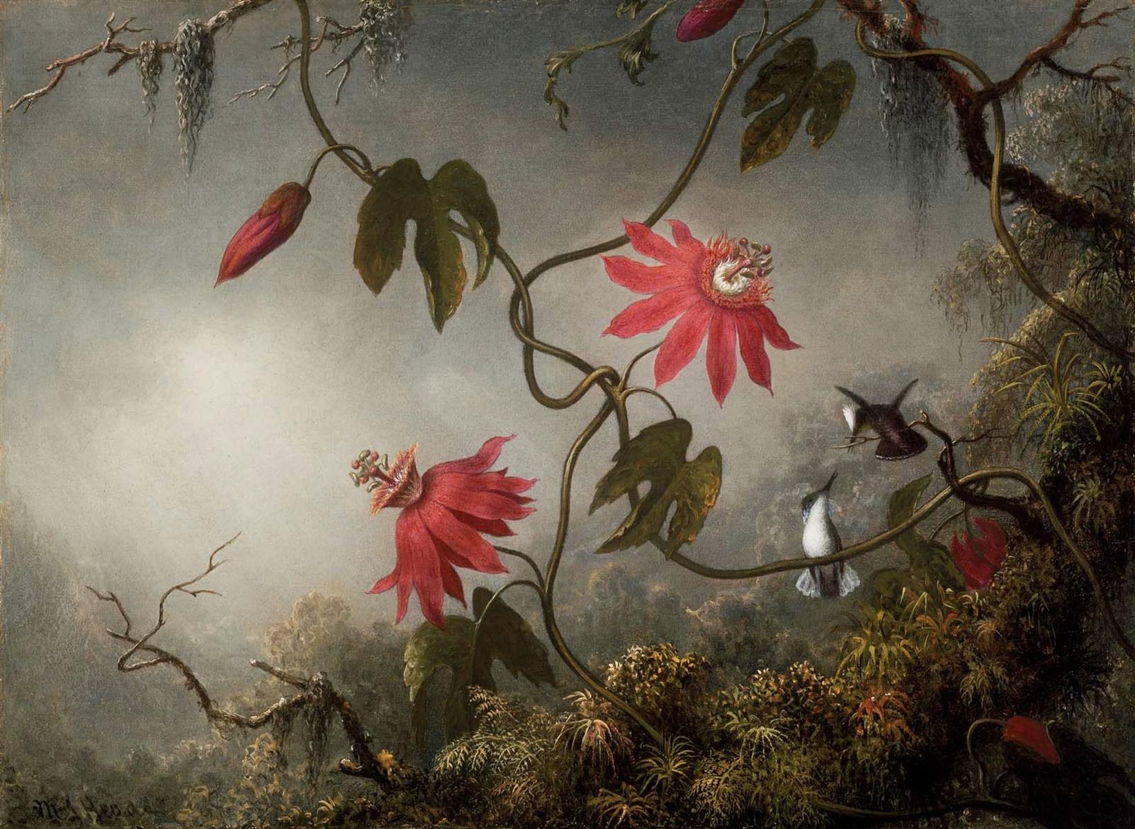 Martin Johnson Heade Passion Flowers with Hummingbirds 1883 Fine Art Print