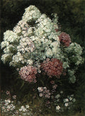David Johnson Phlox 1886 Fine Art Print
