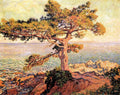 Theo van Rysselberghe Pine by the Mediterranean Sea 1916 Fine Art Print