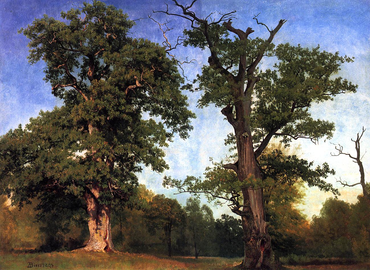 Albert Bierstadt Pioneers of the Woods 1858 Fine Art Print