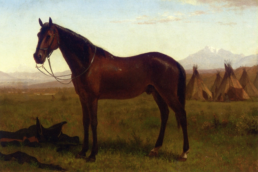 Albert Bierstadt Portrait of a Horse 1860-1869 Fine Art Print