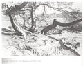 Ivan Bilibin Provence. Pines on the Shore 1929 Fine Art Print