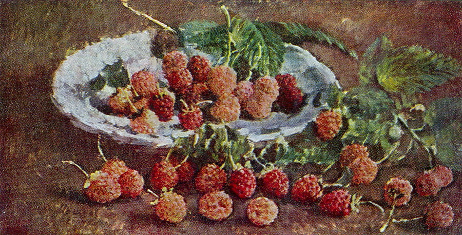Ilya Mashkov Raspberry 1939 Fine Art Print