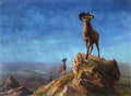 Albert Bierstadt Rocky Mountain Big Horns 1879 Fine Art Print