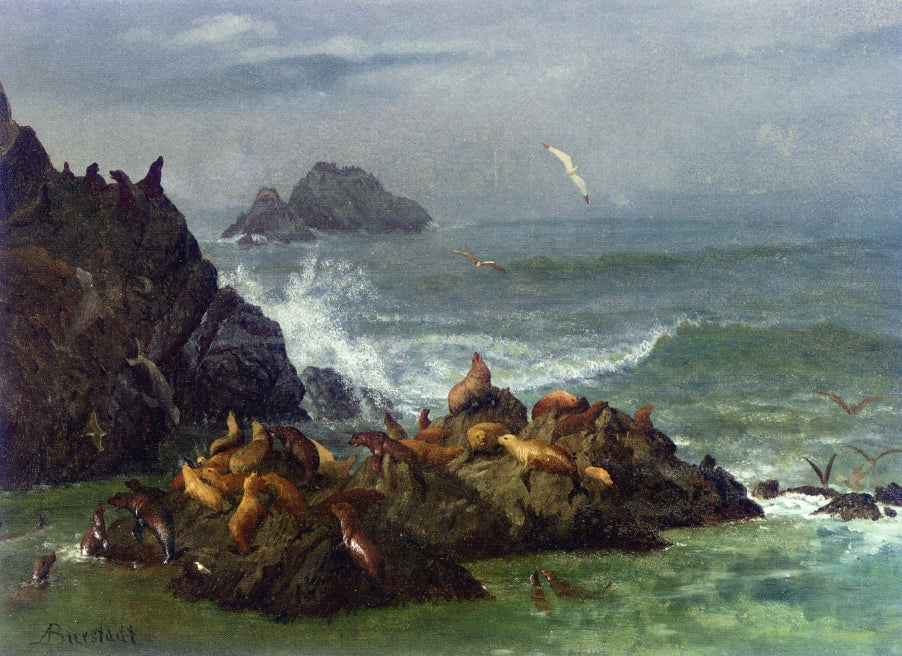 Albert Bierstadt Seal Rocks, Pacific Ocean, California 1872 Fine Art Print