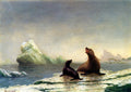 Albert Bierstadt Seals 1873 Fine Art Print